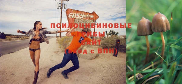 скорость Анжеро-Судженск