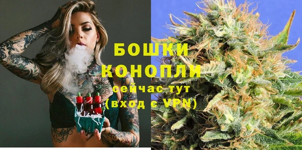 прущие грибы Нязепетровск
