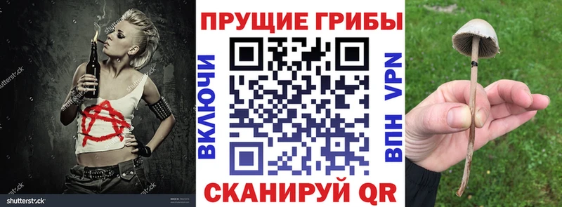 Галлюциногенные грибы MAGIC MUSHROOMS  где купить   Моршанск 